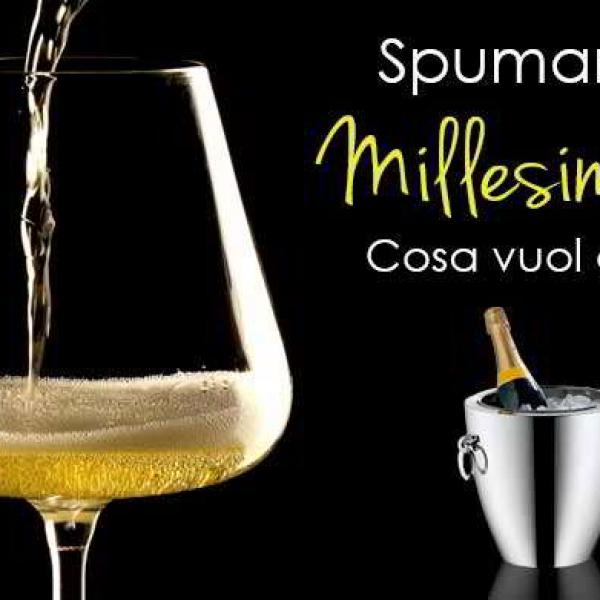 Cosa vuol dire millesimato? Scoprilo su Italianwinelovers.it Cosa vuol dire millesimato? Scoprilo su Italianwinelovers.it