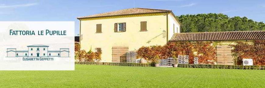 131170LEP-copertina_856x525.jpg