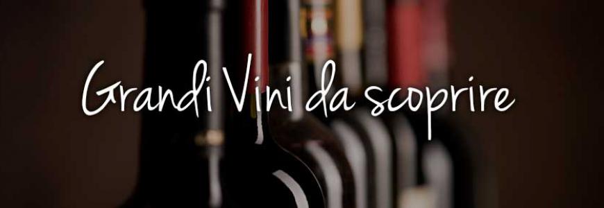 Banner-HOME-RACCOLTA-GRANDI-VINI-870x290.jpg