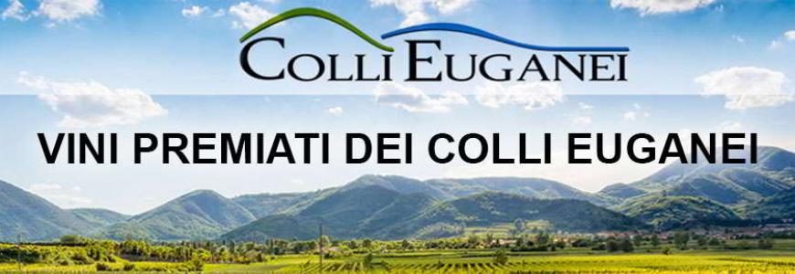 Banner-HOME-RACCOLTA-VINI-COLLI-EUGANEI.jpg
