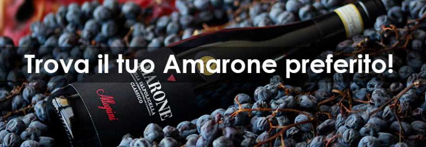 Banner-HOME-RACCOLTA-amarone-allegrini-870x290.jpg