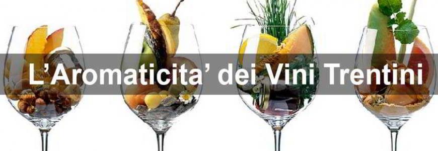 Banner-HOME-RACCOLTA-aromaticita-vini-trentini-870x290.jpg