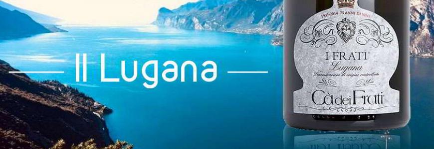 Banner-HOME-RACCOLTA-lugana-870x290.jpg