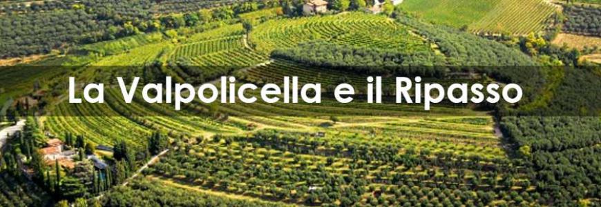 Banner-HOME-RACCOLTA-valpolicella-870x290.jpg